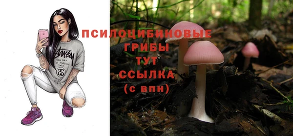 прущая мука Пестово