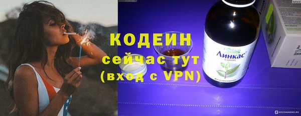 дживик Пересвет