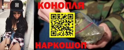 стаф Бузулук