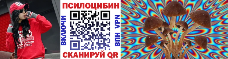 Псилоцибиновые грибы Cubensis  где можно купить   блэк спрут tor  Грязи 