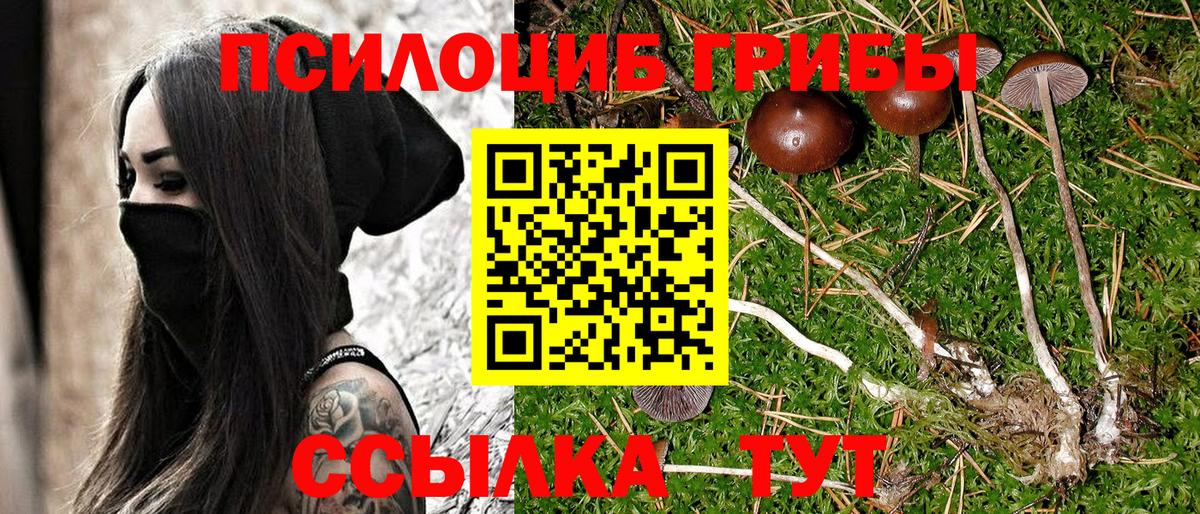 Псилоцибиновые грибы Magic Shrooms Грязи