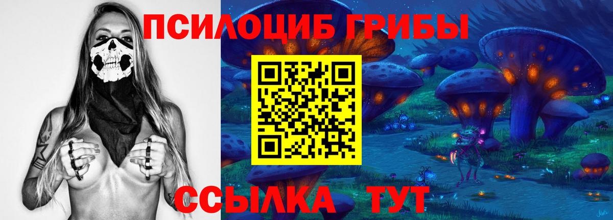 Псилоцибиновые грибы Psilocybe  Грязи 